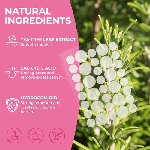 Hydrocolloid Acne Patches - Invisible & Fast-Absorbing (288 Count)